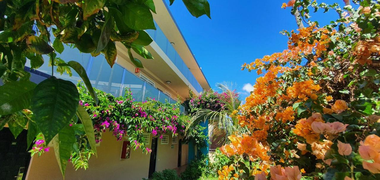 Ferienwohnung Alsol Don Palomon Playa del Inglés Exterior foto