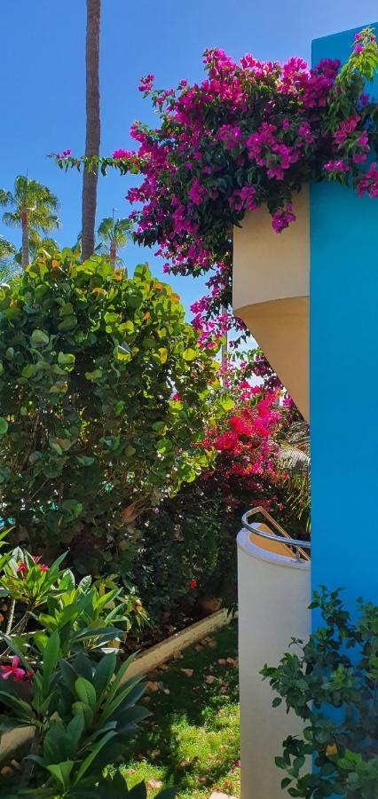 Ferienwohnung Alsol Don Palomon Playa del Inglés Exterior foto