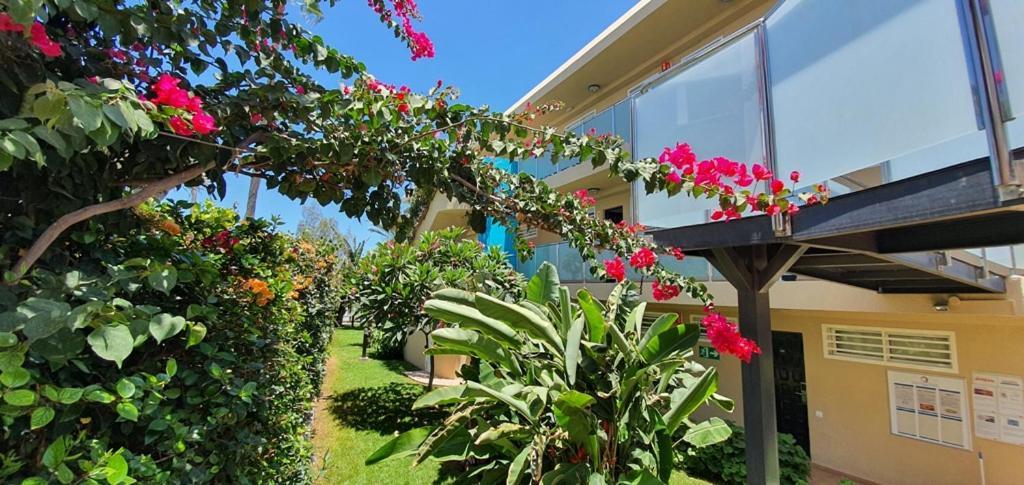 Ferienwohnung Alsol Don Palomon Playa del Inglés Exterior foto