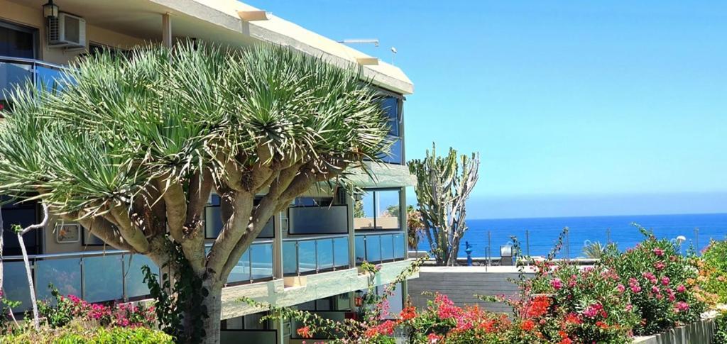 Ferienwohnung Alsol Don Palomon Playa del Inglés Exterior foto