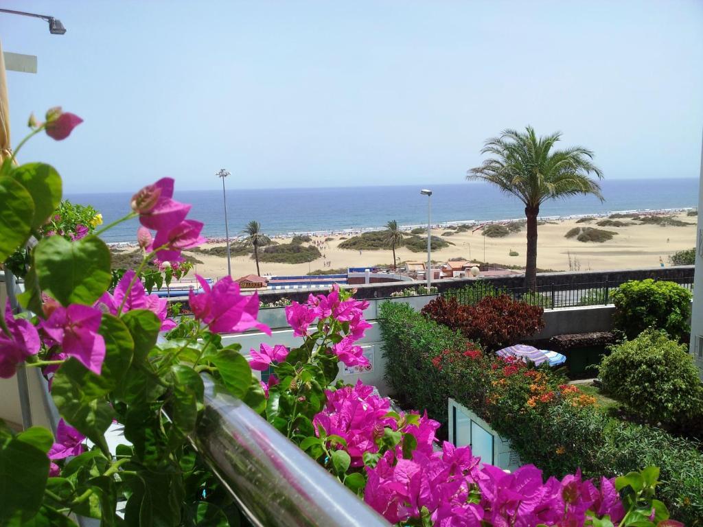 Ferienwohnung Alsol Don Palomon Playa del Inglés Zimmer foto
