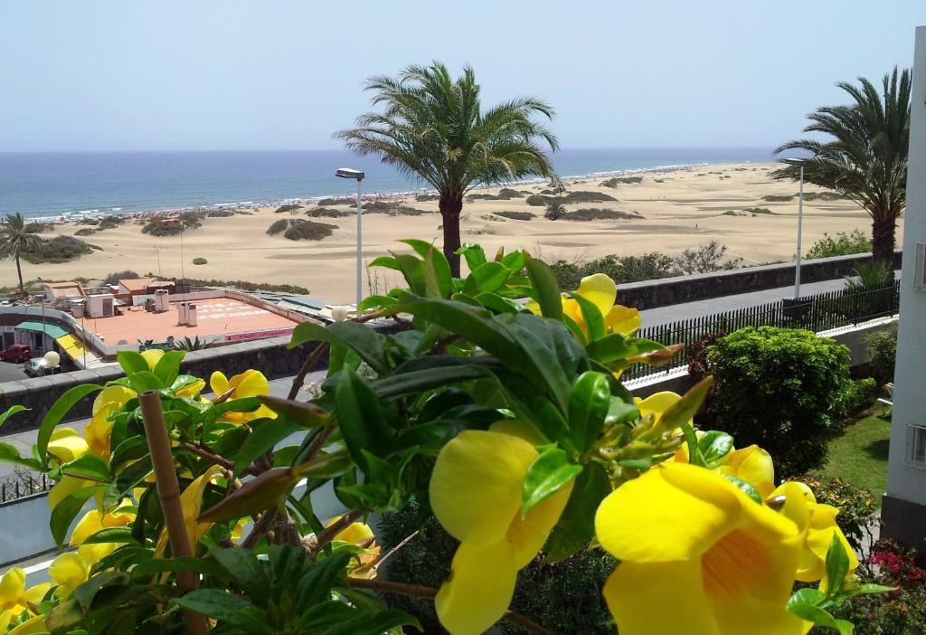 Ferienwohnung Alsol Don Palomon Playa del Inglés Zimmer foto